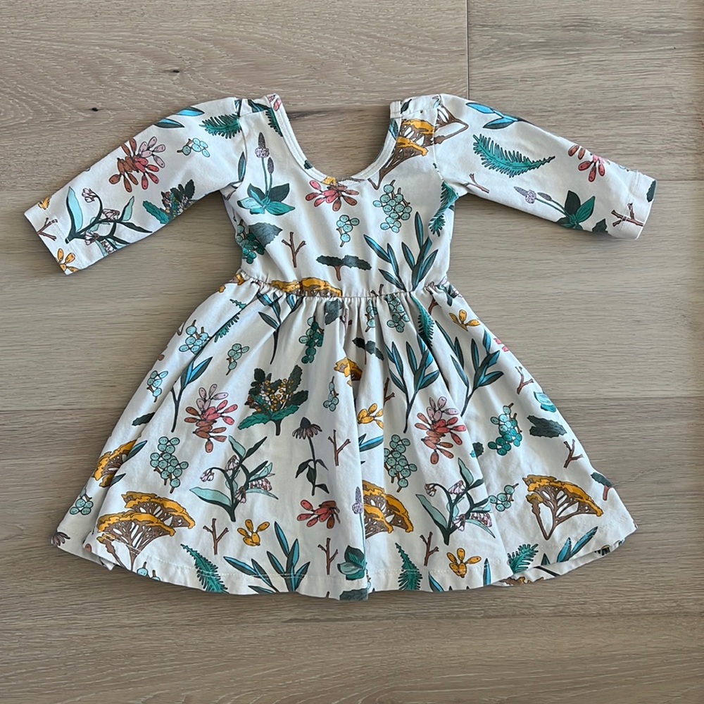 Alice & Ames 2T Floral Ballet Dress